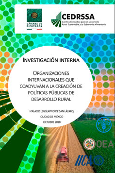 Organizaciones internacionales que coadyuvan a la creación de políticas públicas de desarrollo rural.