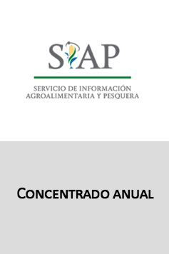 Información concentrada anual(2015) de producción y otros indicadores, Agricultura.