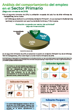 Análisis del comportamiento del empleo en el Sector Primario - Segundo trimestre de 2019