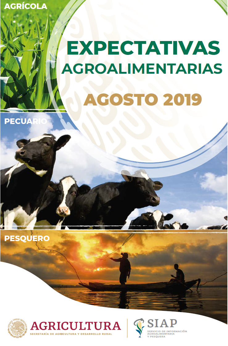 EXPECTATIVAS AGROALIMENTARIAS AGOSTO 2019