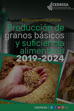 Producción de granos básicos y suficiencia alimentaria 2019-2024