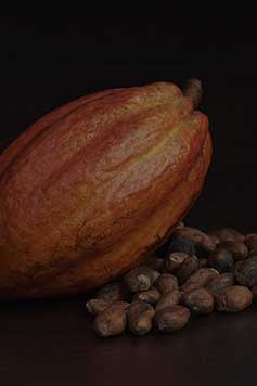 Industria del cacao en México