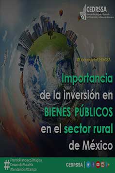 Importancia de la inversión en bienes públicos en el sector rural de México