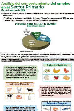 Análisis del comportamiento del empleo en el Sector Primario - Tercer trimestre de 2019