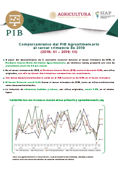 Comportamiento del PIB Agroalimentario al tercer trimestre de 2019. 