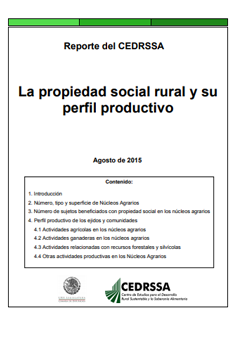 La propiedad social rural y su perfil productivo