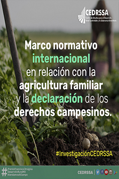 Marco normativo internacional en relación con la agricultura familiar y la declaración de los derechos campesinos