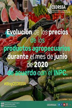 Evolución de los precios de los productos agropecuarios durante el mes de junio de 2020 de acuerdo con el INPC