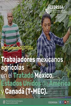 Trabajadores mexicanos agrícolas en el Tratado México, Estados Unidos de América y Canadá (T-MEC)