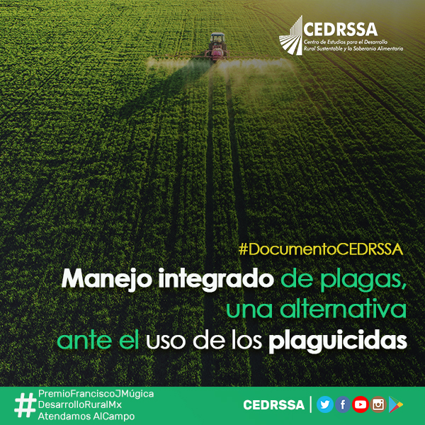 Manejo integrado de plagas, una alternativa ante el uso de los plaguicidas