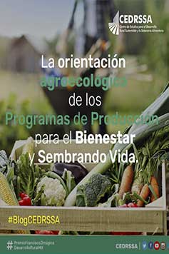 La orientación agroecológica de los Programas de Producción para el Bienestar y Sembrando Vida