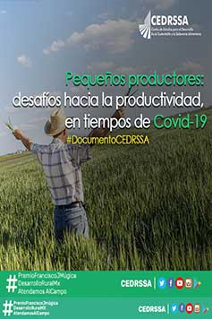 Pequeños productores: desafíos hacia la productividad, en tiempos de Covid-19