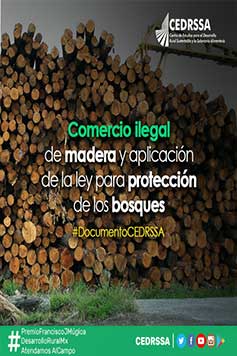 Comercio ilegal de madera y aplicación de la ley para protección de los bosques