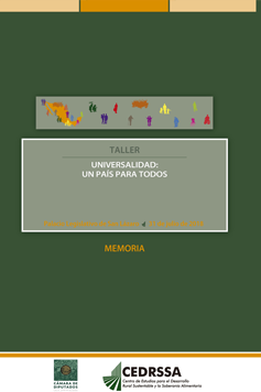 Memoria del taller "Universalidad: un país para todos"