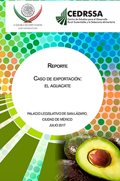 Caso de exportación: el aguacate