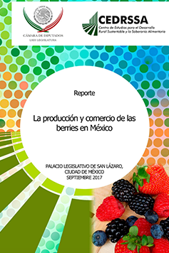 La producción y comercio de las berries en México