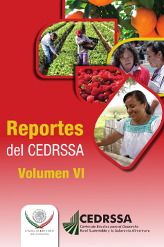 Reportes del CEDRSSA Volumen VI