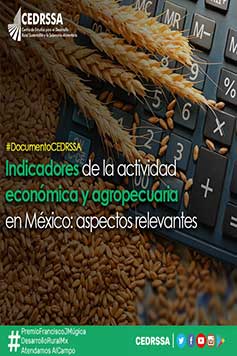 Indicadores de la actividad económica y agropecuaria en México: aspectos relevantes