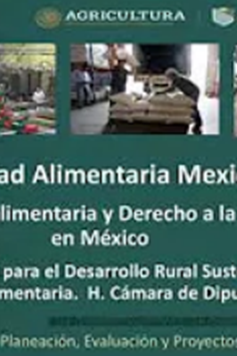 VIDEO YOUTUBE: Taller: “Segalmex: productividad agroalimentaria y derecho a la alimentación en México”.