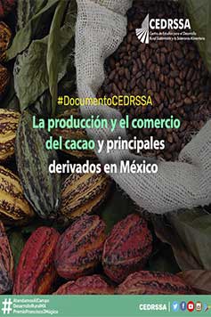 La producción y el comercio del cacao y principales derivados en México