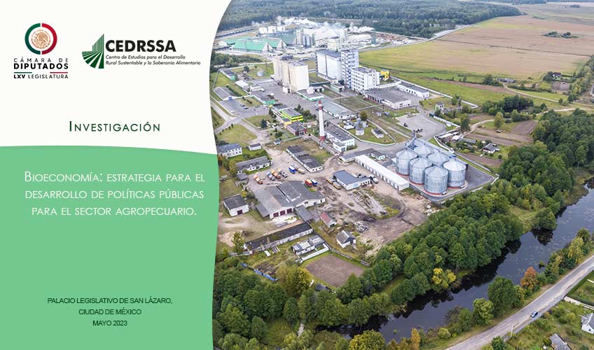 Bioeconomía: estrategia para el desarrollo de políticas públicas para el sector agropecuario 