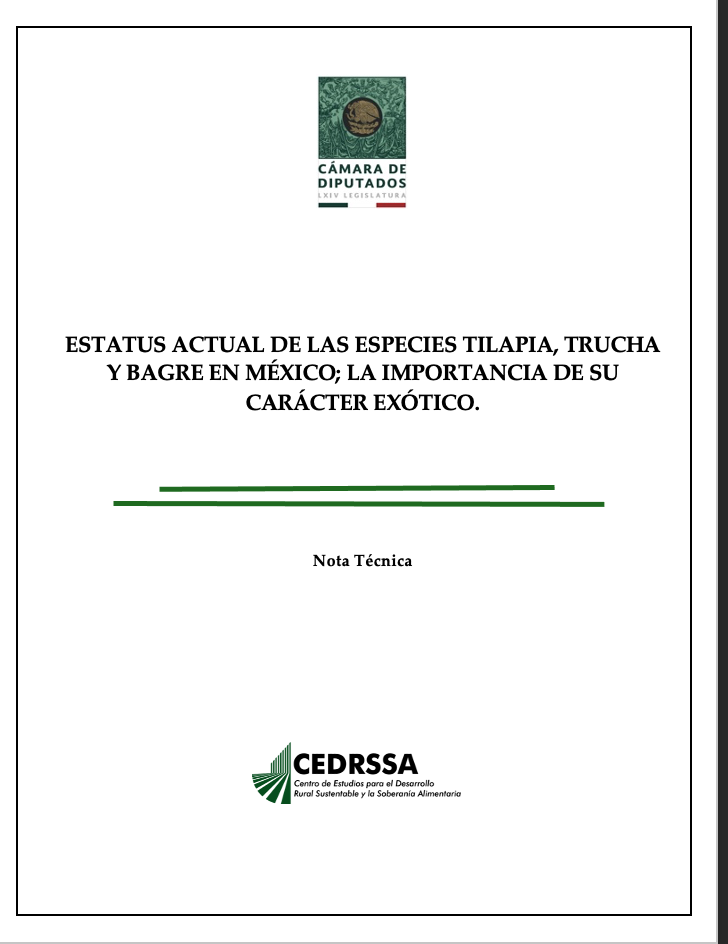 ESTATUS ACTUAL DE LAS ESPECIES TILAPIA, TRUCHA Y BAGRE EN MÉXICO; LA IMPORTANCIA DE SU CARÁCTER EXÓTICO.