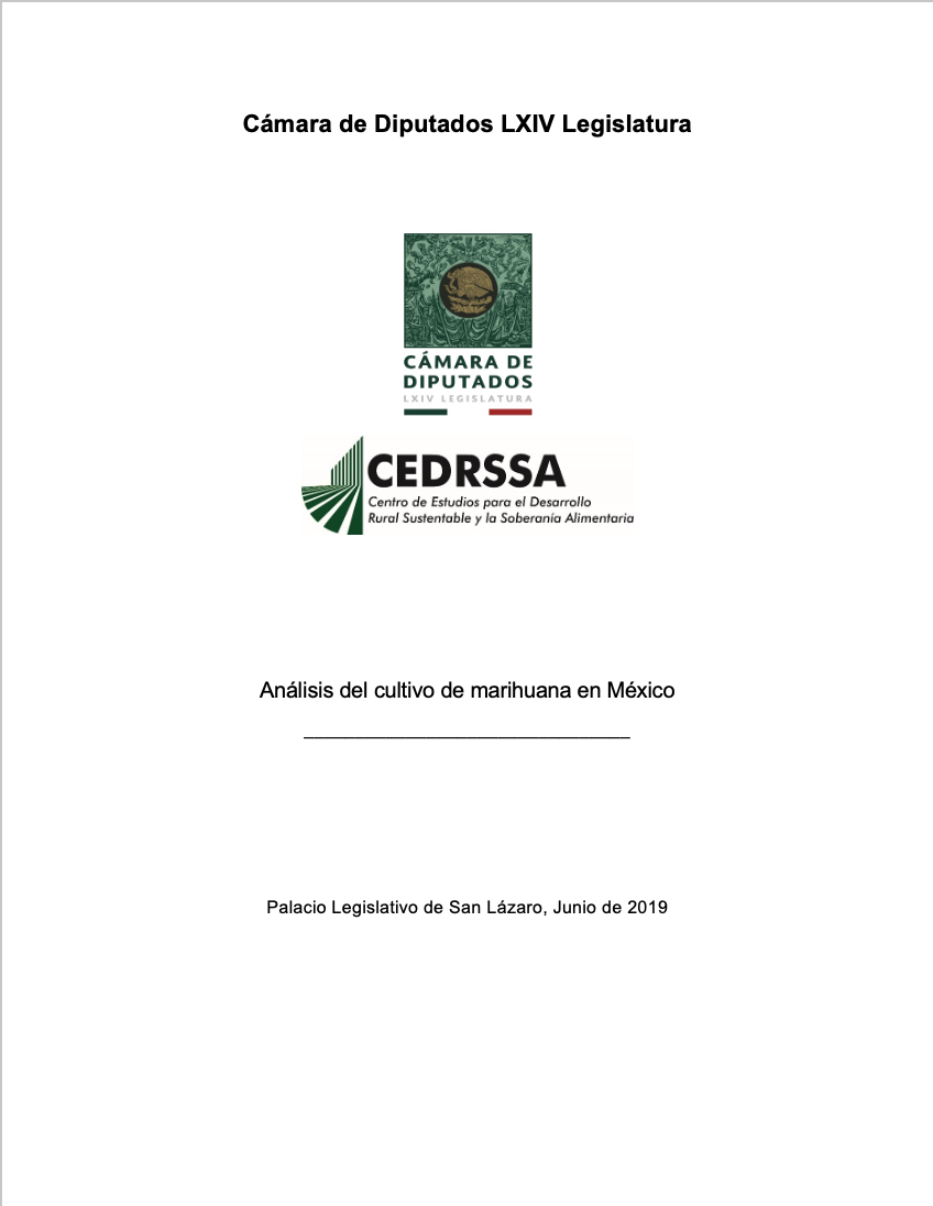 Análisis del cultivo de marihuana en México