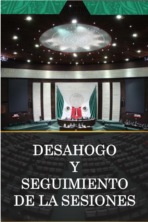 CÁMARA DE DIPUTADOS DESAHOGO Y SEGUIMIENTO DE LAS SESIONES DEL 14 Y 16 OCTUBRE DE 2024